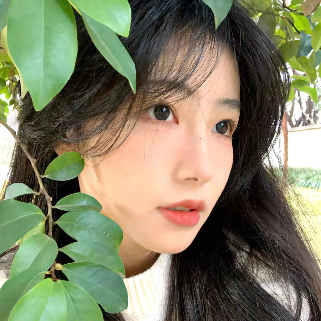 爱的飞行模式第一季